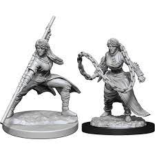 D&D Mini: Human Monk